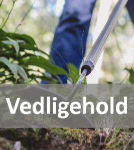 Almindelig vedligehold af haven
